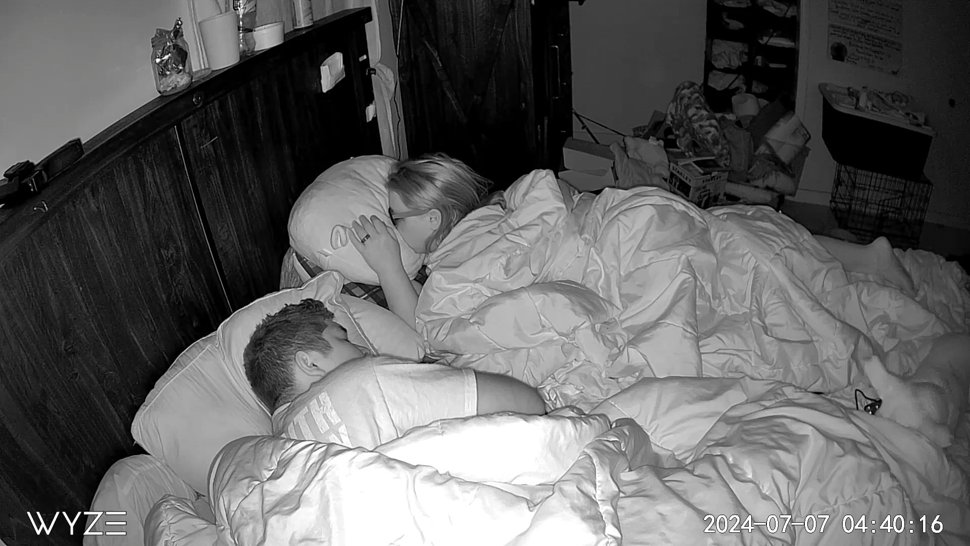 Câinele Tău Devine Brusc Sălbatic și Timit? Află Ce Semne Să Nu Ignori și Cum Să-l Ajuți Rapid!