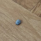 Ce înseamnă dacă găsești o bucățică de fir metalic în blana câinelui – semnele pe care să nu le ignori