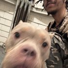 Puiul Lala, salvat de la moarte sigură: Cum o dietă hipoalergenică și iubirea sinceră i-au schimbat viața în doar câteva zile