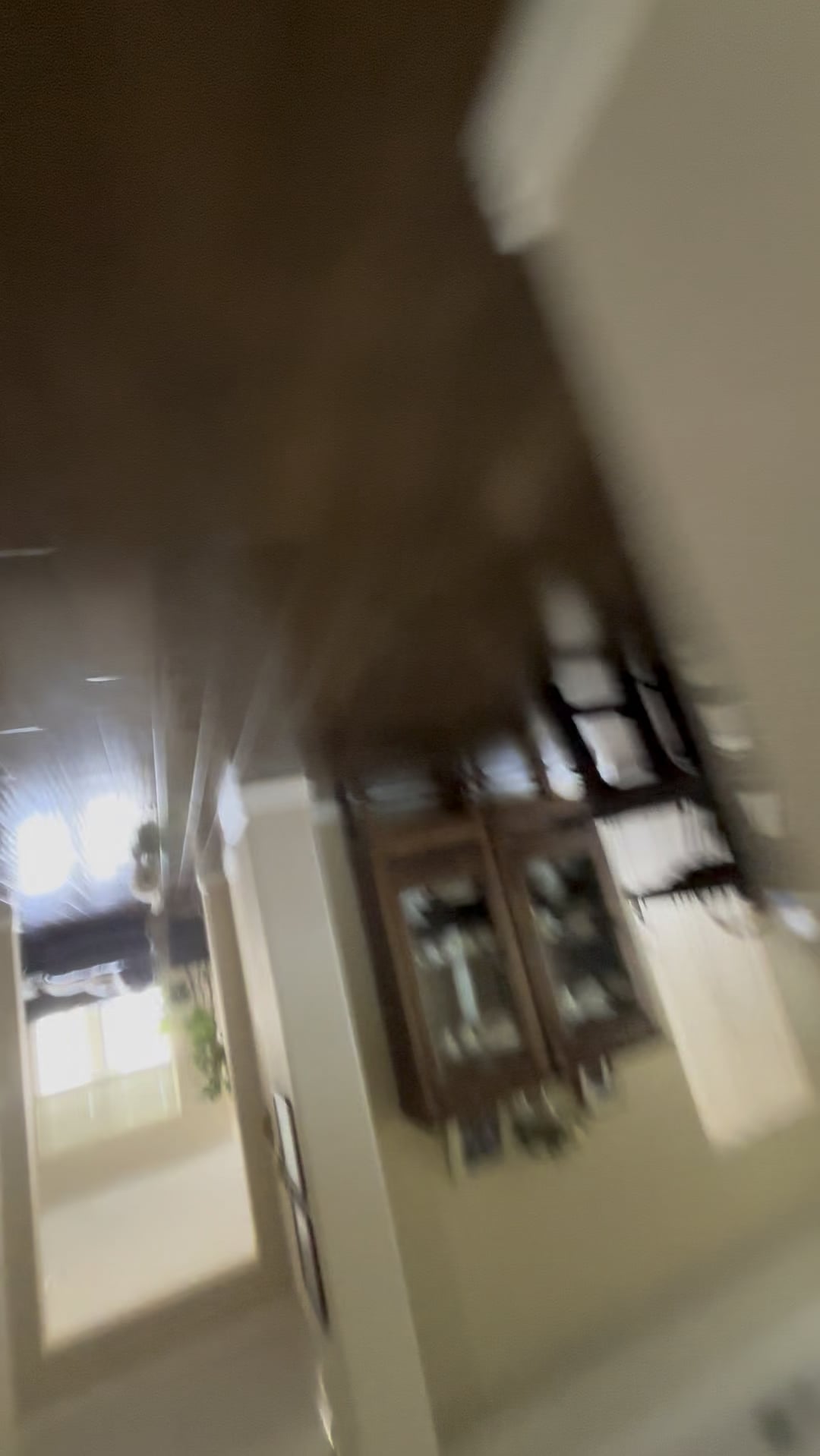 Ce înseamnă când câinele tău scoate sunete ciudate în timp ce te aleargă: semne că e jucăuș, nu agresiv