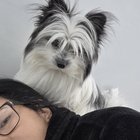 ATENȚIE la castrarea cățeilor tineri: O familie își pierde puiul de doar 4 luni după o aparentă procedură simplă