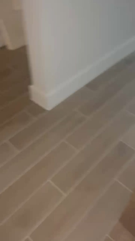 Câinele tău te ignoră când te întorci acasă? Află ce mesaje subtile îți transmite și cum să îi recâștigi încrederea