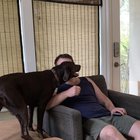 Comportamentul bizar al cățelei Vick: De ce își lipește fața de a ta și ce încearcă, de fapt, să-ți spună