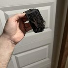 Atenție la grătarele nespălate: Câine aproape moare după ce a înghițit o perie metalică pentru curățat grillul!