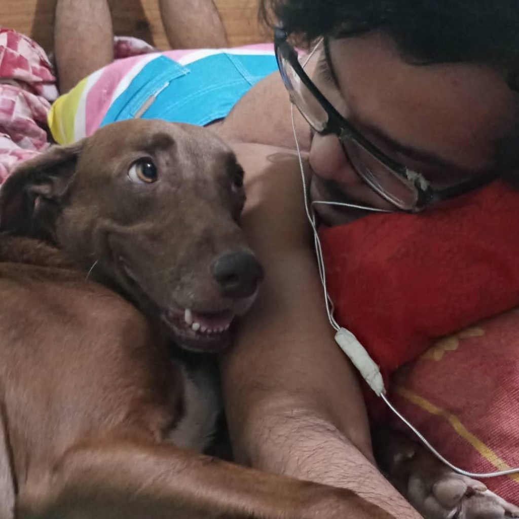 Când iubirea doare: Semnele dureroase care îți arată că e timpul să-ți iei rămas-bun de la câinele tău bătrân