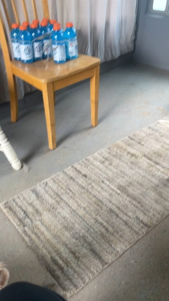 A trăit ani buni cu câinele ei, dar patrupedul încă o evită – Ce greșeală fac mulți stăpâni fără să știe