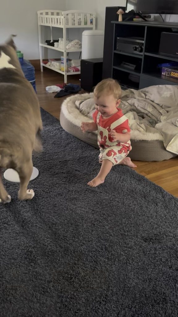 Când Bebelușul Se Târăște Spre Cățel: Semne Că Blănosul Tău Nu Se Simte în Siguranță și Ce Poți Face Imediat