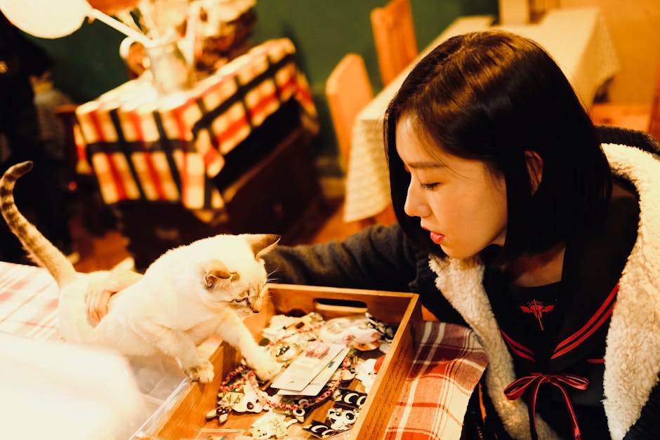 Schimbi numele pisicii? Află de ce ar putea fi mai simplu decât crezi și cum să nu o derutezi!