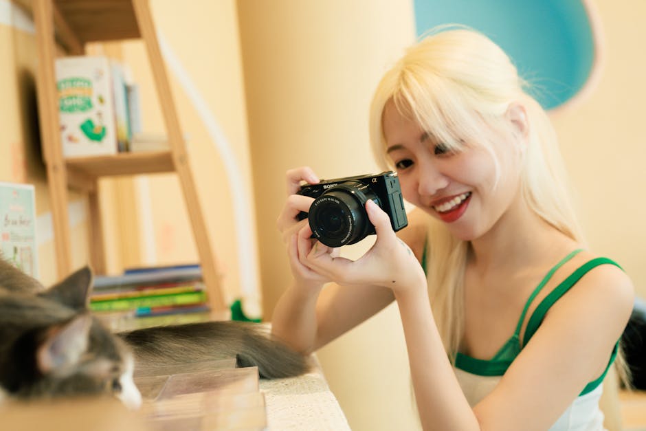 Stăpânii de pisici dezvăluie cele mai fiabile hrănitoare automate: ce merită banii și ce să eviți!