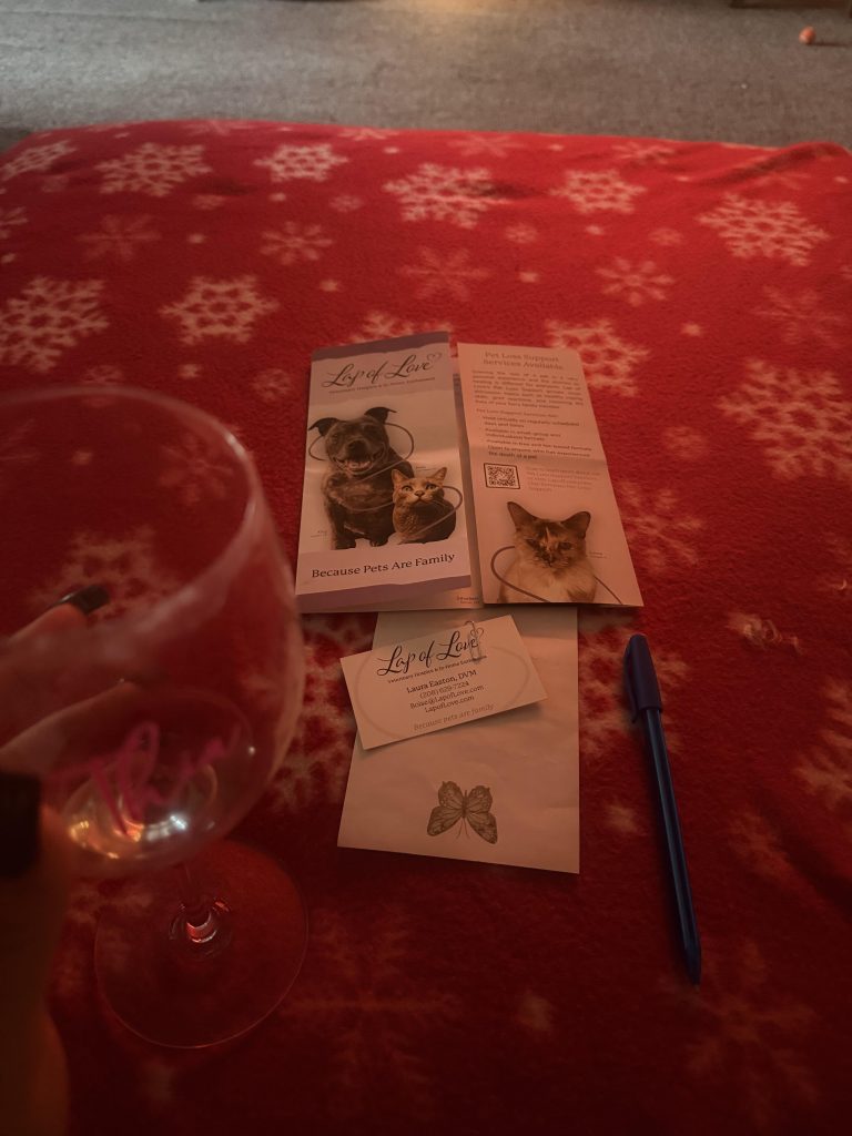 Dramă în familie: Când e timpul să spui adio câinelui tău bolnav – semnele pe care nu trebuie să le ignori