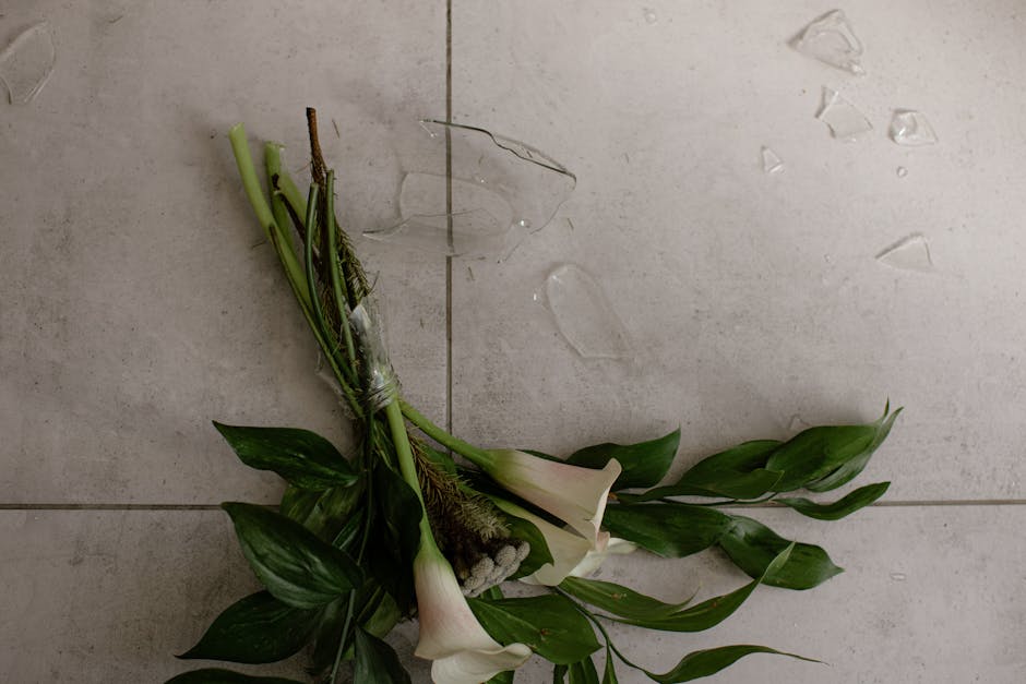 Motanul face pipi unde nu trebuie? Află ce greșeli comune faci și cum îl poți opri imediat!