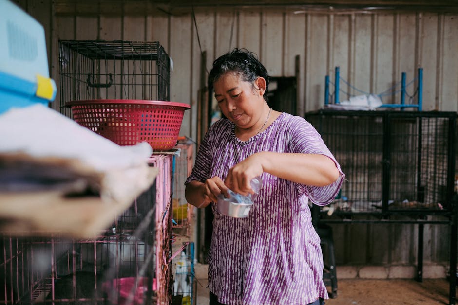 Angajații cer salvarea unei pisici neîngrijite dintr-un magazin – Ce poți face când un animal este neglijat la locul de muncă