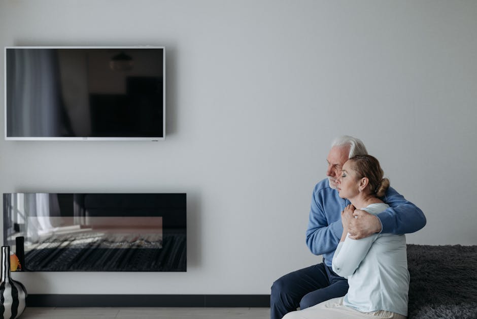 Trucuri emoționante pentru a găsi o nouă casă pisicii tale bătrâne – Ce trebuie să știi înainte să o dai spre adopție